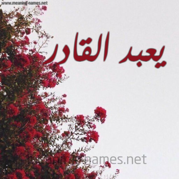 شكل 18 صوره الورد الأحمر للإسم بخط رقعة صورة اسم يعبد القادر Abdelkader